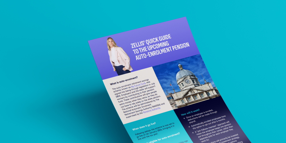 A snapshot of auto-enrolment pension in Ireland
