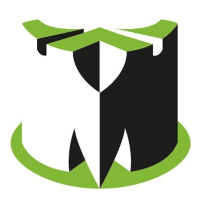 Monmouthshire County Council Logo